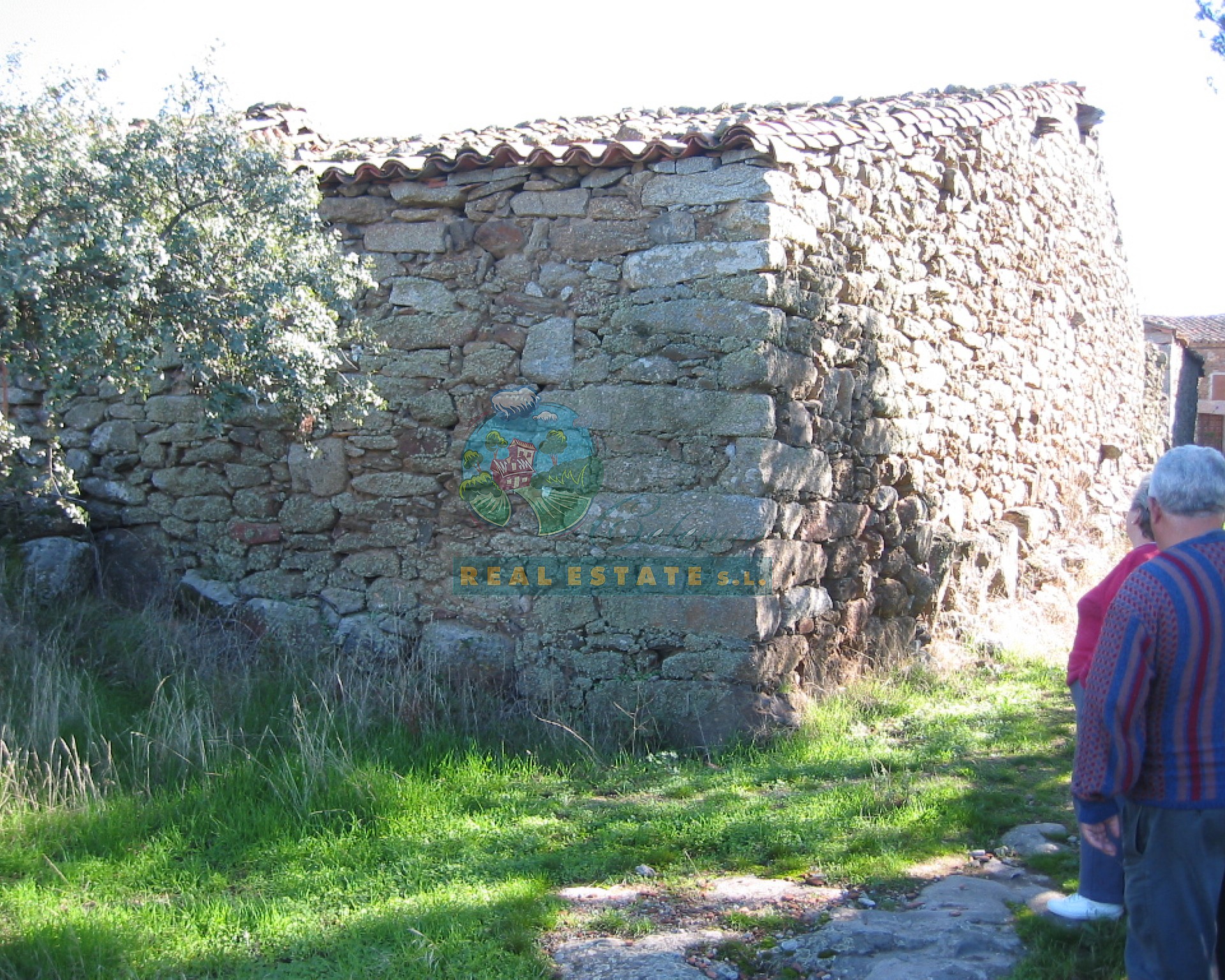Cuadra con vistas en Sierra de Gredos.