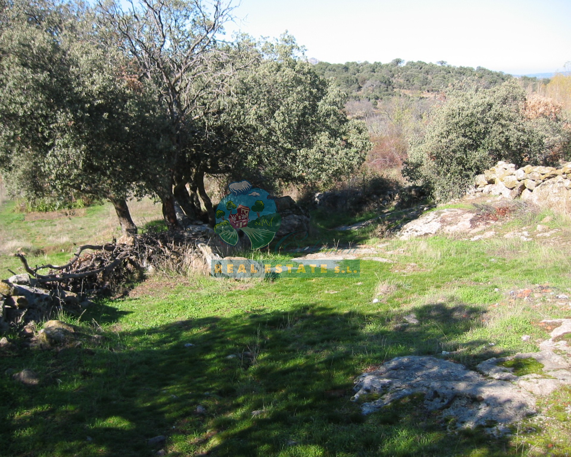 Cuadra con vistas en Sierra de Gredos.