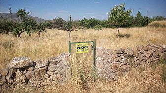 Rural land in Sierra de Gredos, ideal for cottage.
